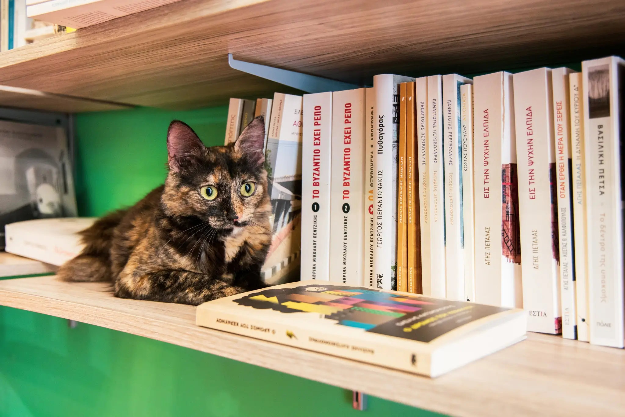  Literature House 