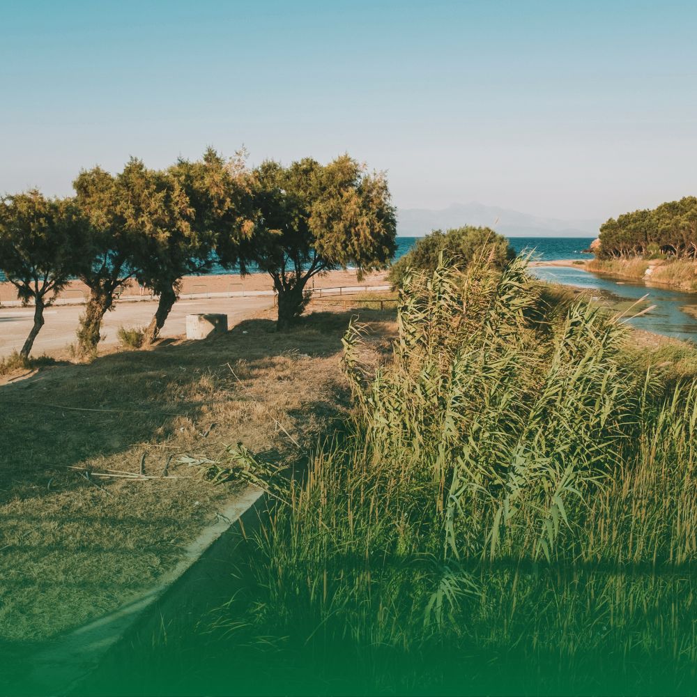 Όνομα Αττική 