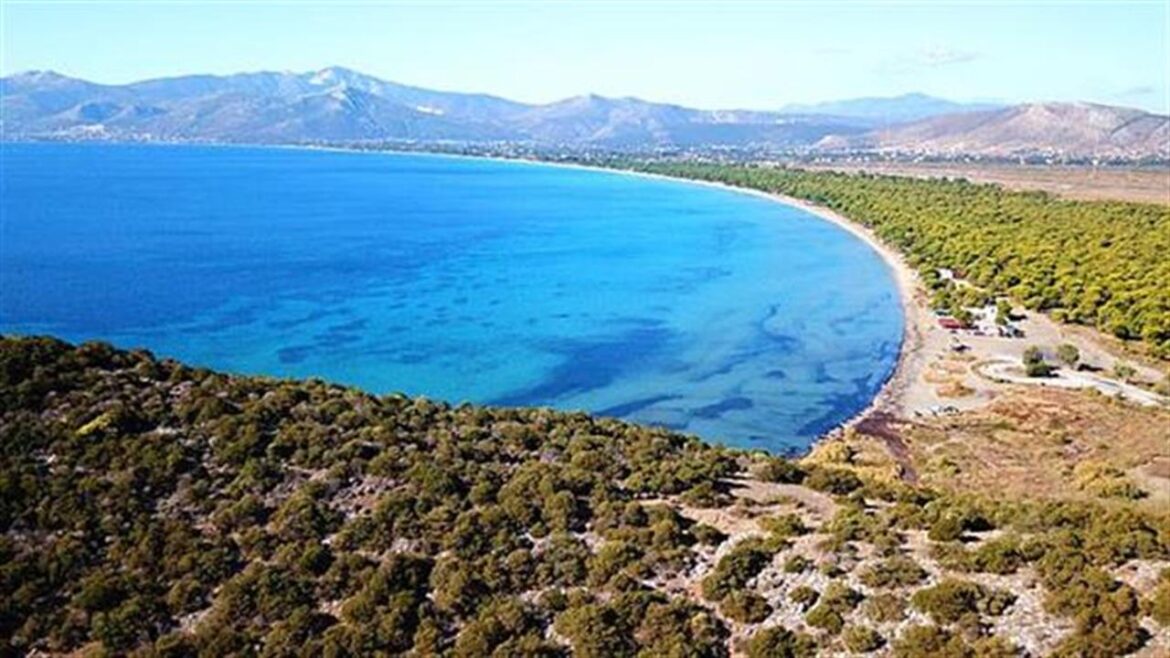 Εθνικό Πάρκο Σχινιά