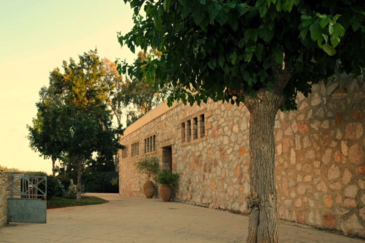 Βύρωνας - Duncan Dance Research Center