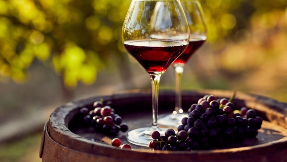 Wine Explorers 2025
