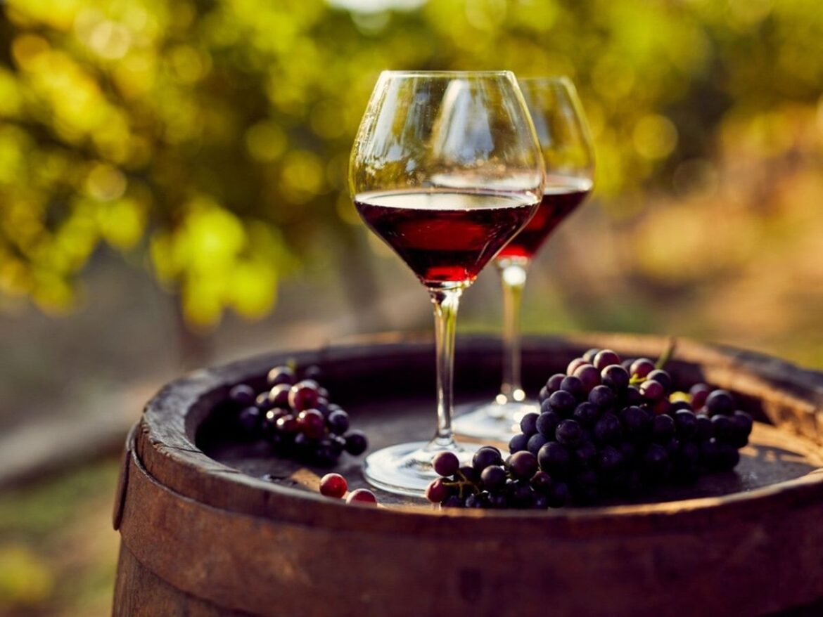 Wine Explorers 2025