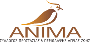 ΑΝΙΜΑ