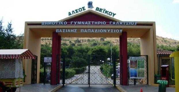 Άλσος Βεΐκου 