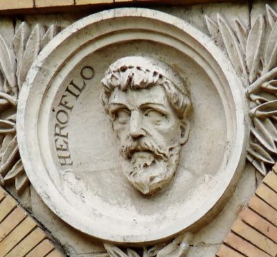 Ηρόφιλος, ο δάσκαλος της Αγνοδίκης της Αθηναίας