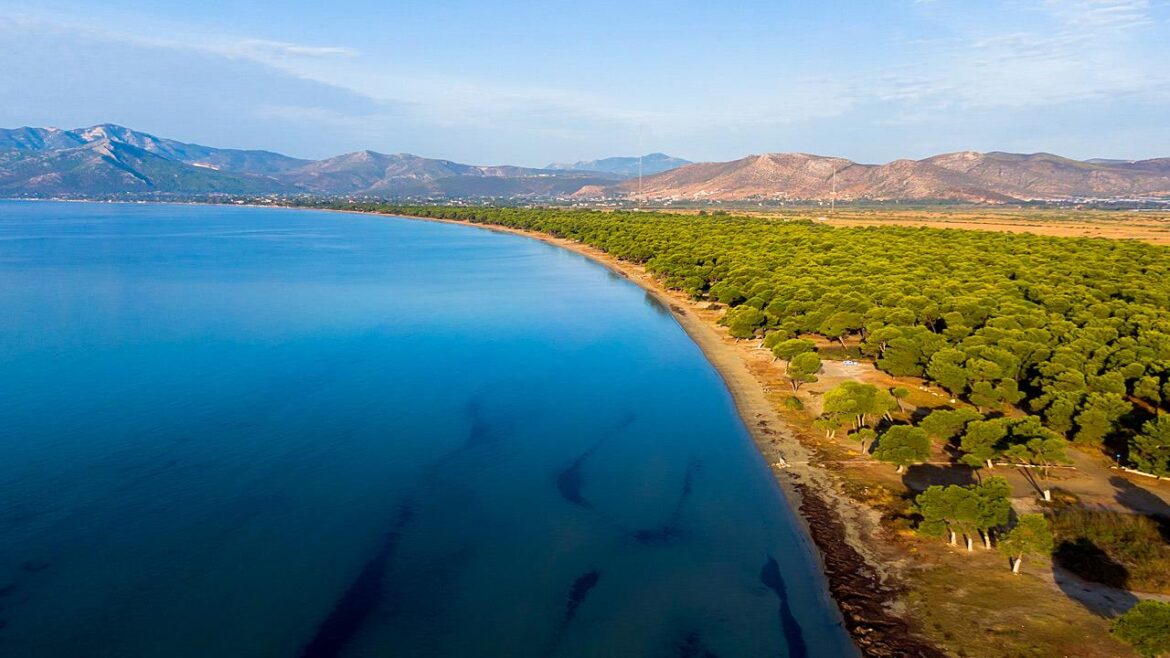 Παραλία Σχινιά